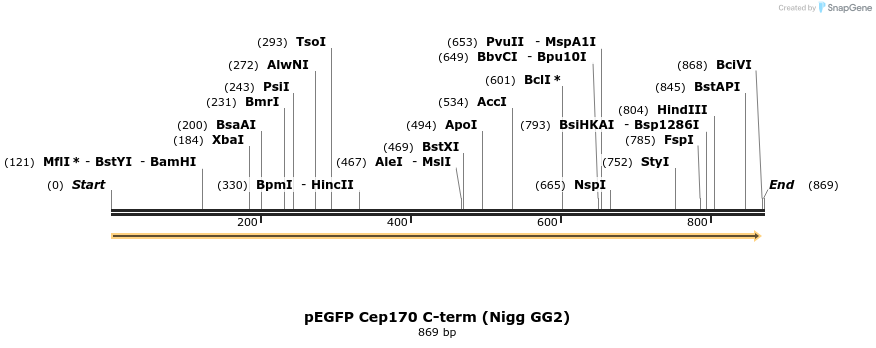 55572_map