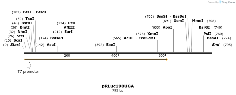 55579_map