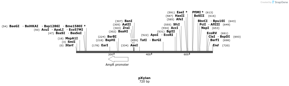 55590_map