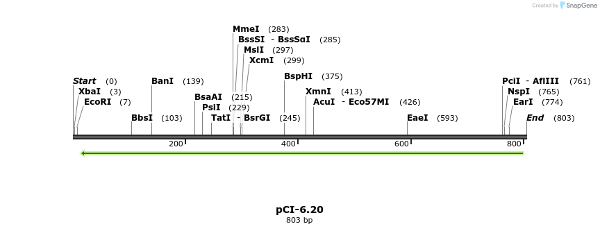 55596_map