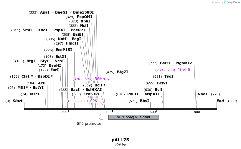 55598_map
