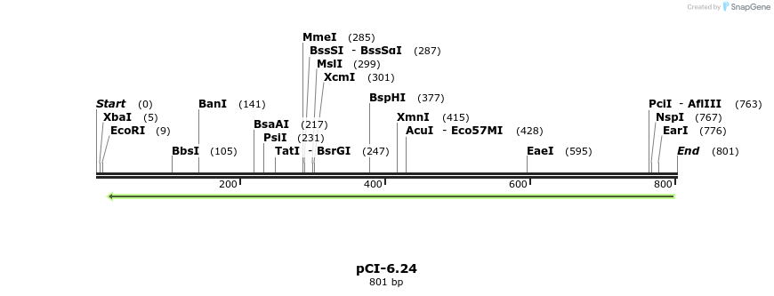 55599_map