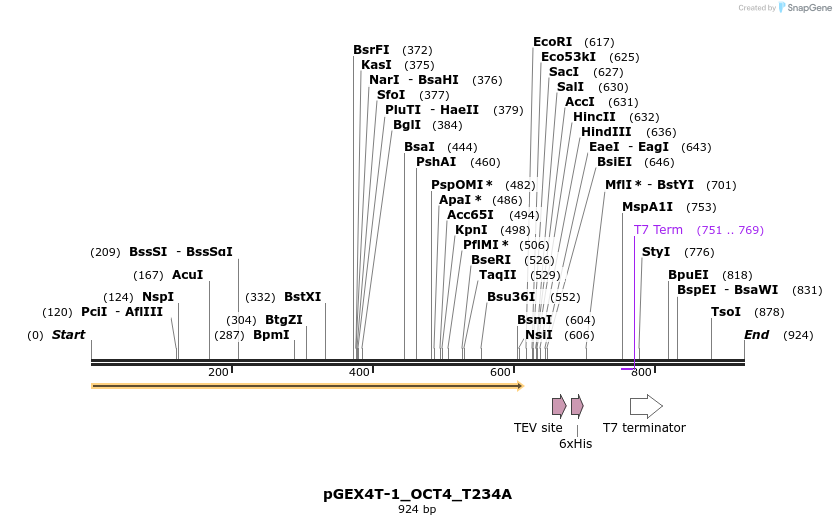 55600_map