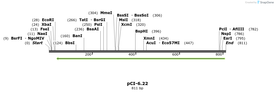55602_map