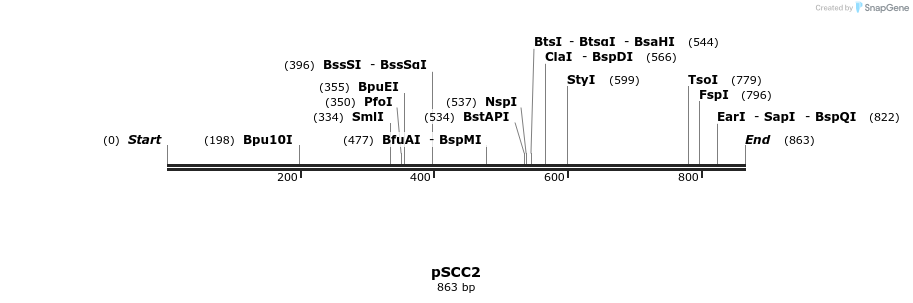 55604_map