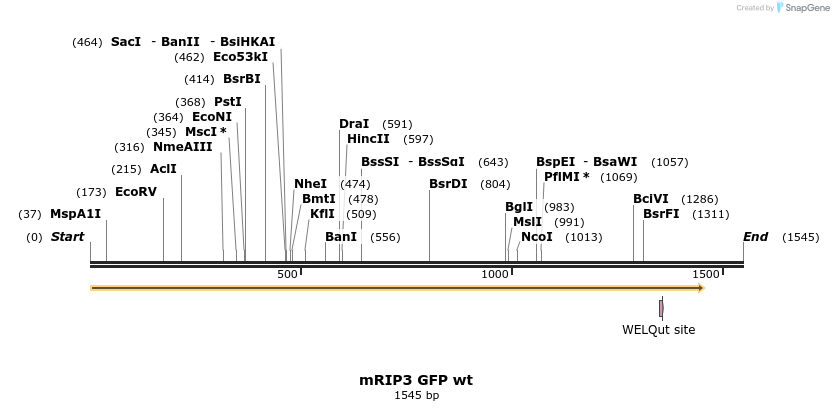 55605_map