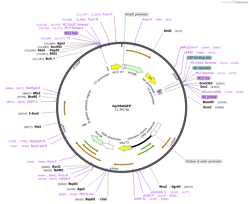 55612_map