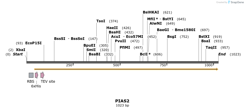 55621_map