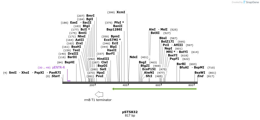 55624_map