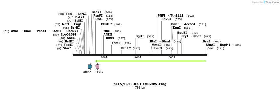 55631_map