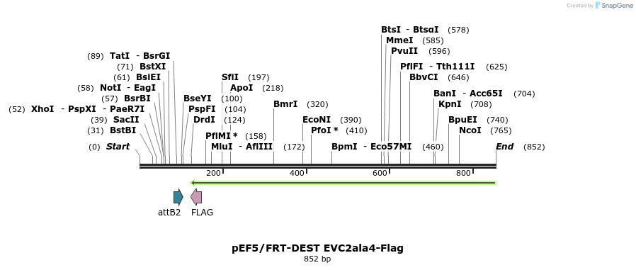 55651_map