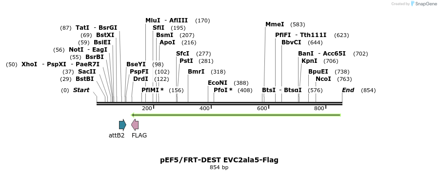55652_map