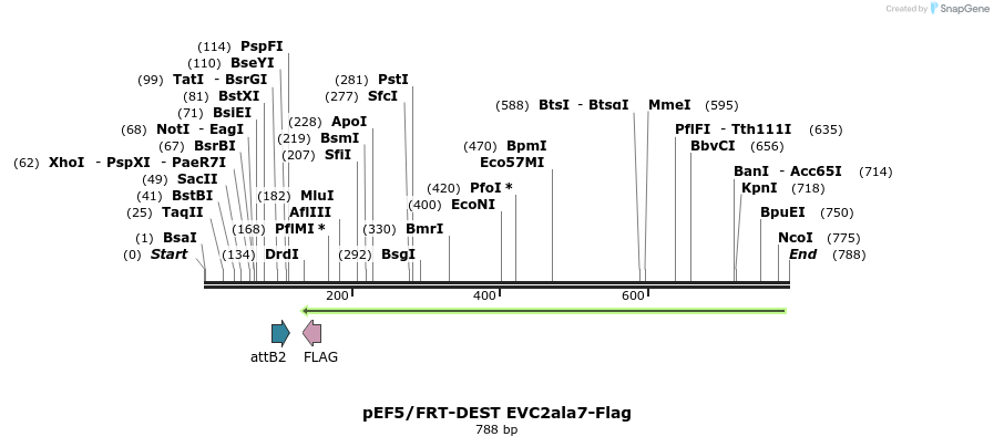 55653_map