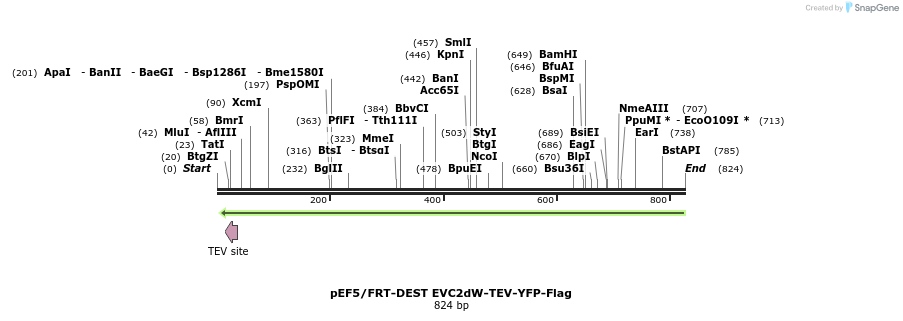 55661_map