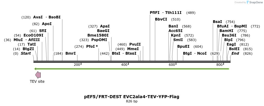 55662_map