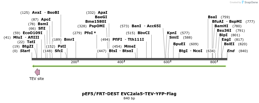 55663_map