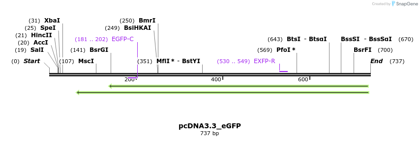 55664_map