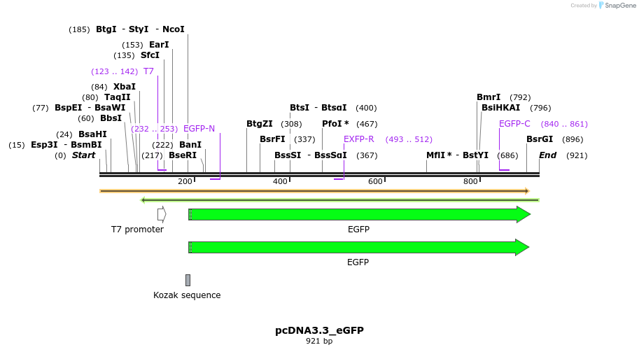 55666_map