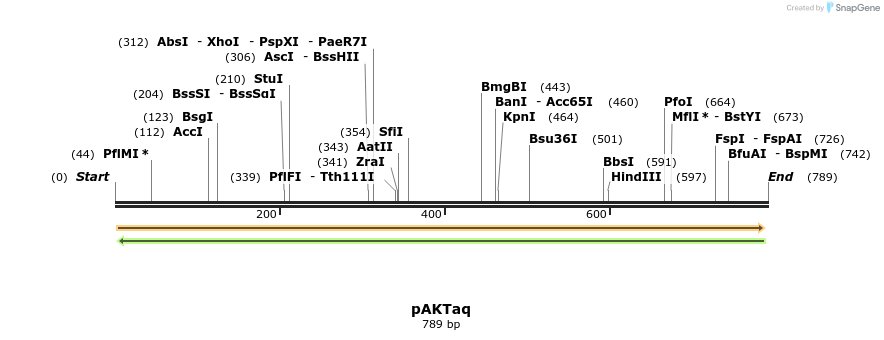 55712_map