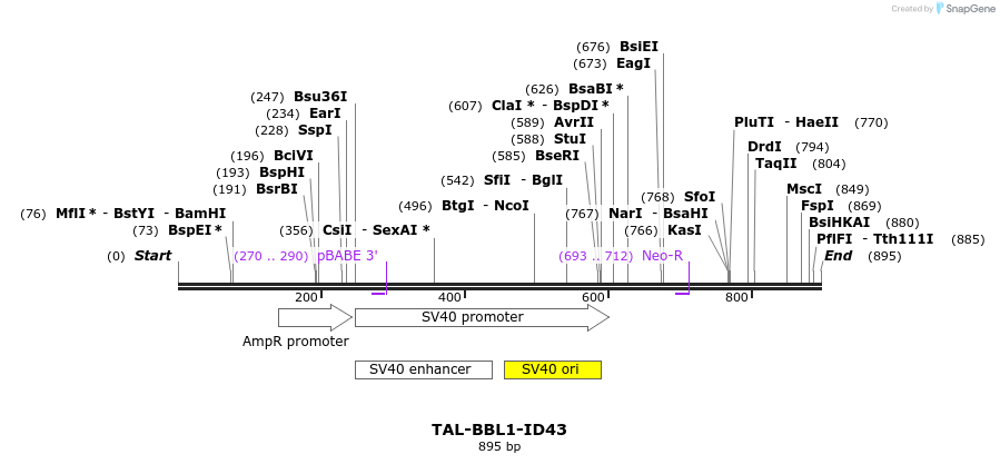 55713_map
