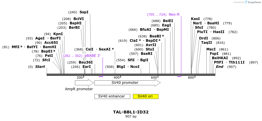 55714_map