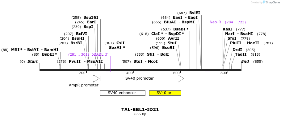 55715_map