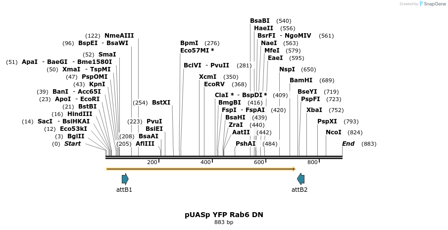 55718_map