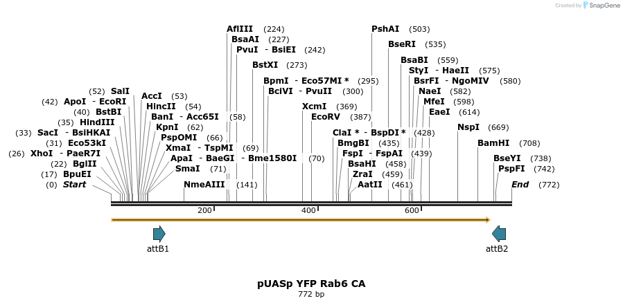 55719_map