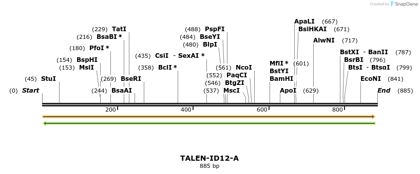 55720_map