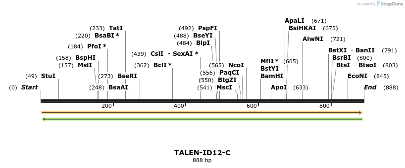55721_map