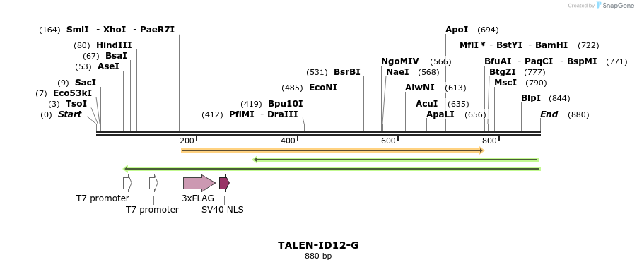 55722_map