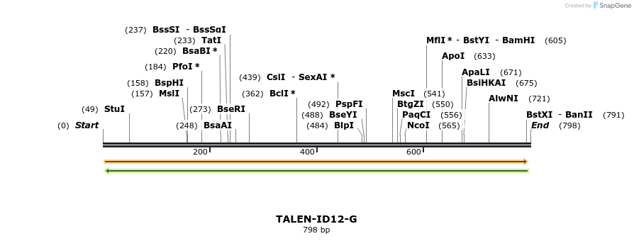 55726_map