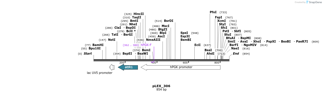 55730_map
