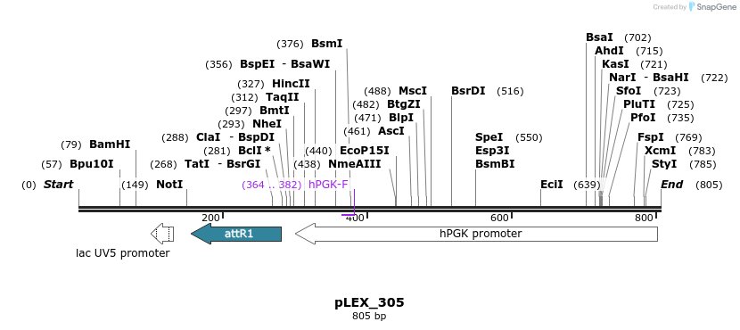 55732_map