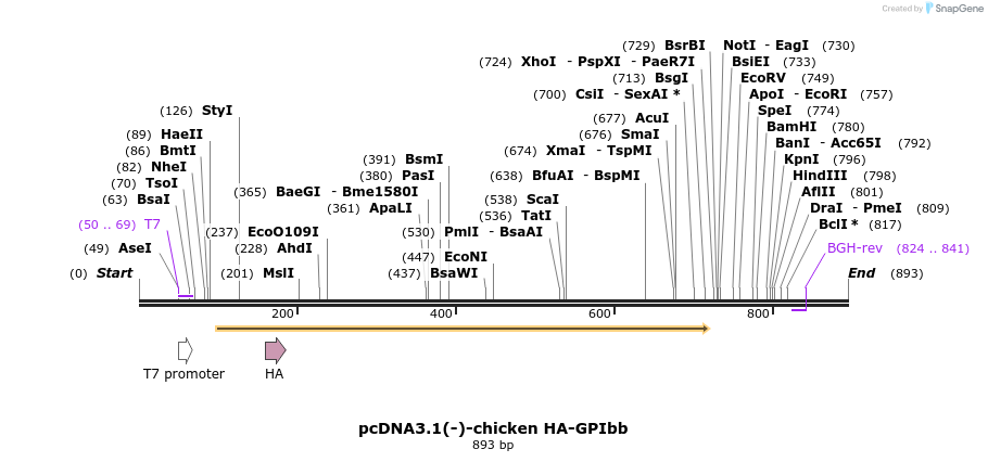 55763_map