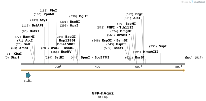 55772_map