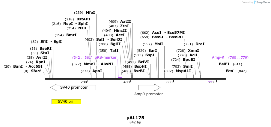 55774_map