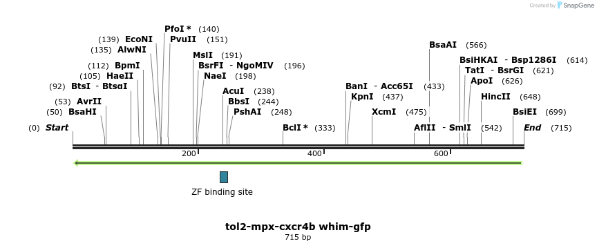 55776_map