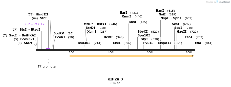 55777_map