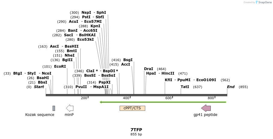 55779_map