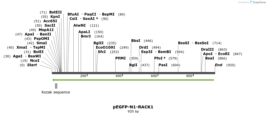 55780_map