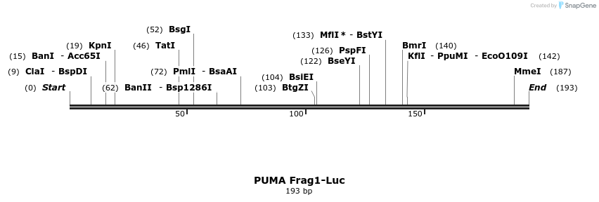 55781_map
