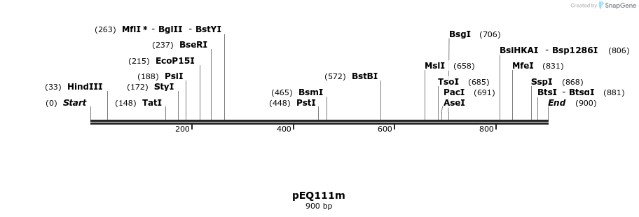 55786_map