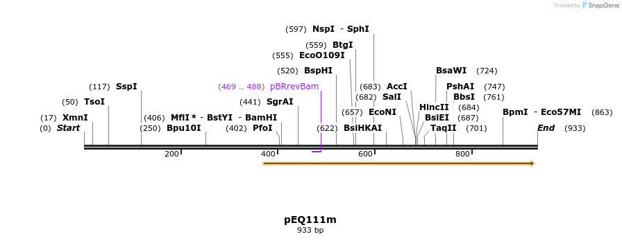 55787_map
