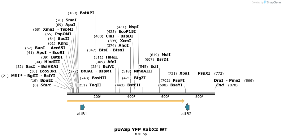 55798_map