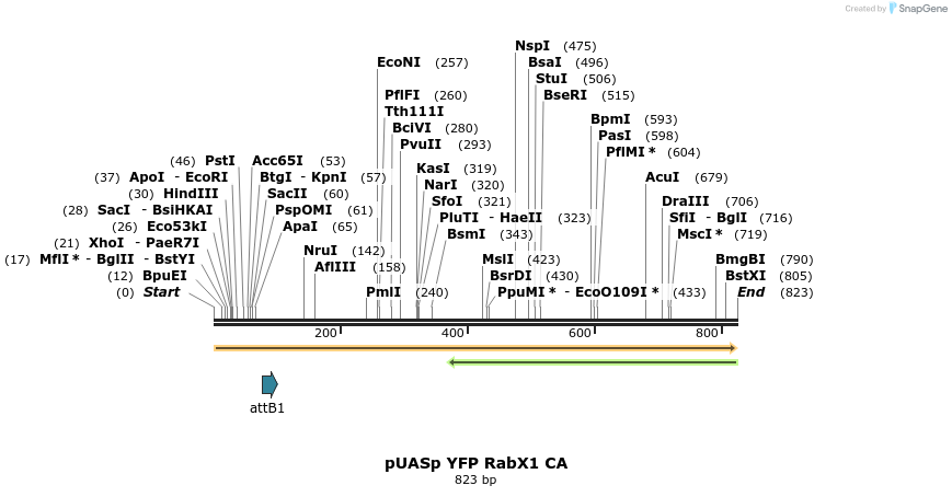 55799_map