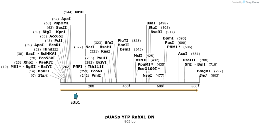 55801_map