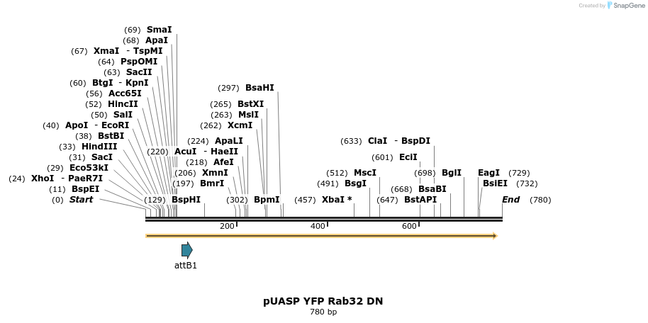 55815_map