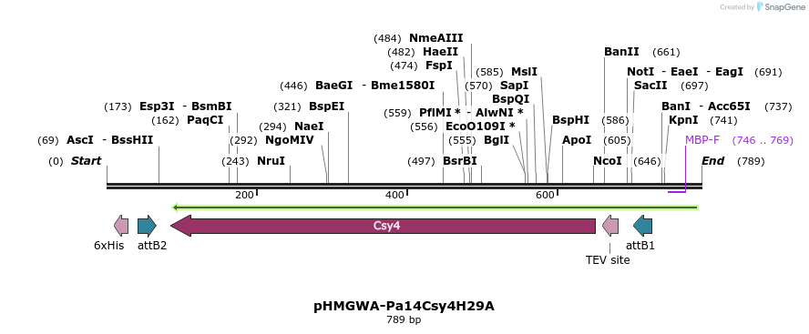 55816_map