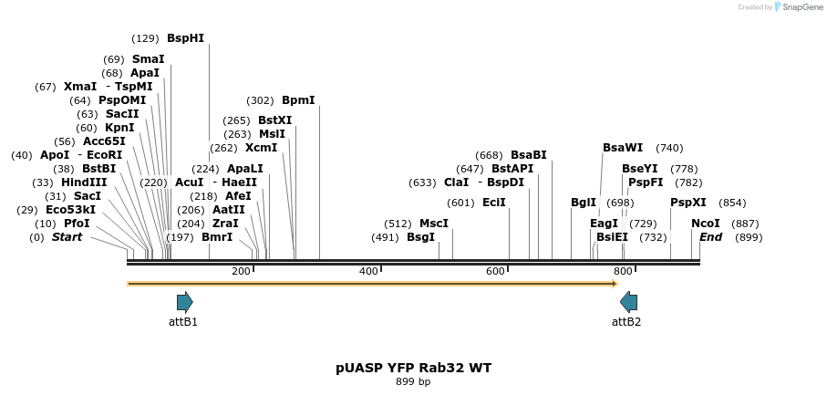 55821_map